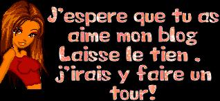 Laisse ton adresse de blog
