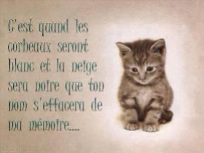 Je toublirai jamais