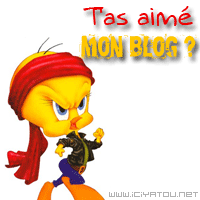 tu as aimé mon blog ????????