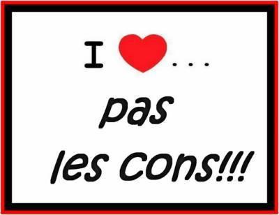 j'aime pas les cons