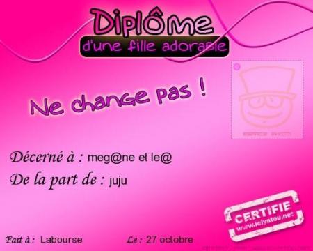 le diplme