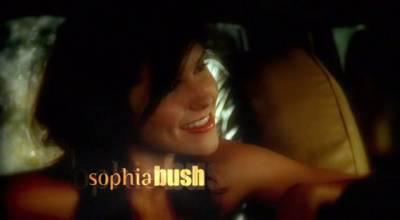 Bio de Sophia Bush alias Brook
