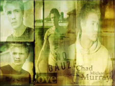 un montage sur chad michael murray
