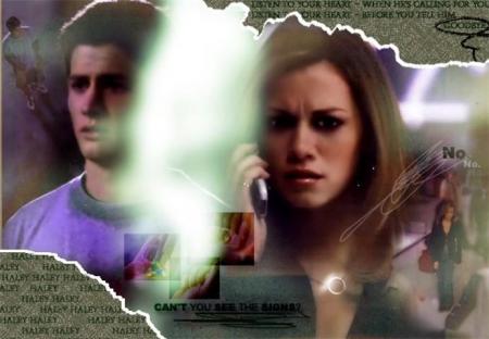 nathan est haley